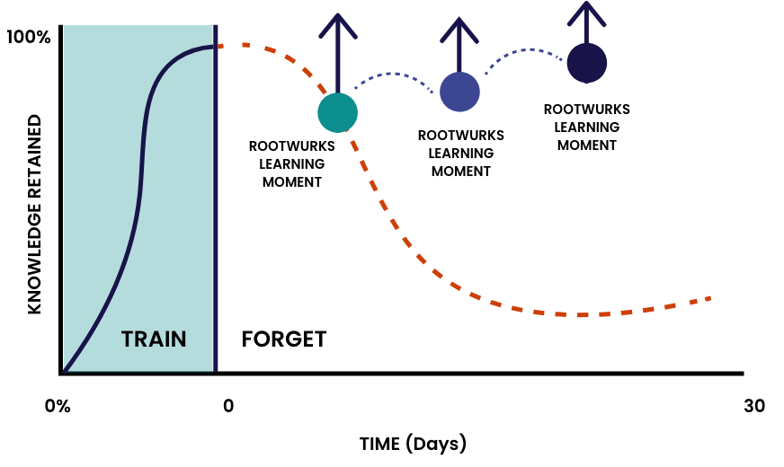 The Forgetting Curve